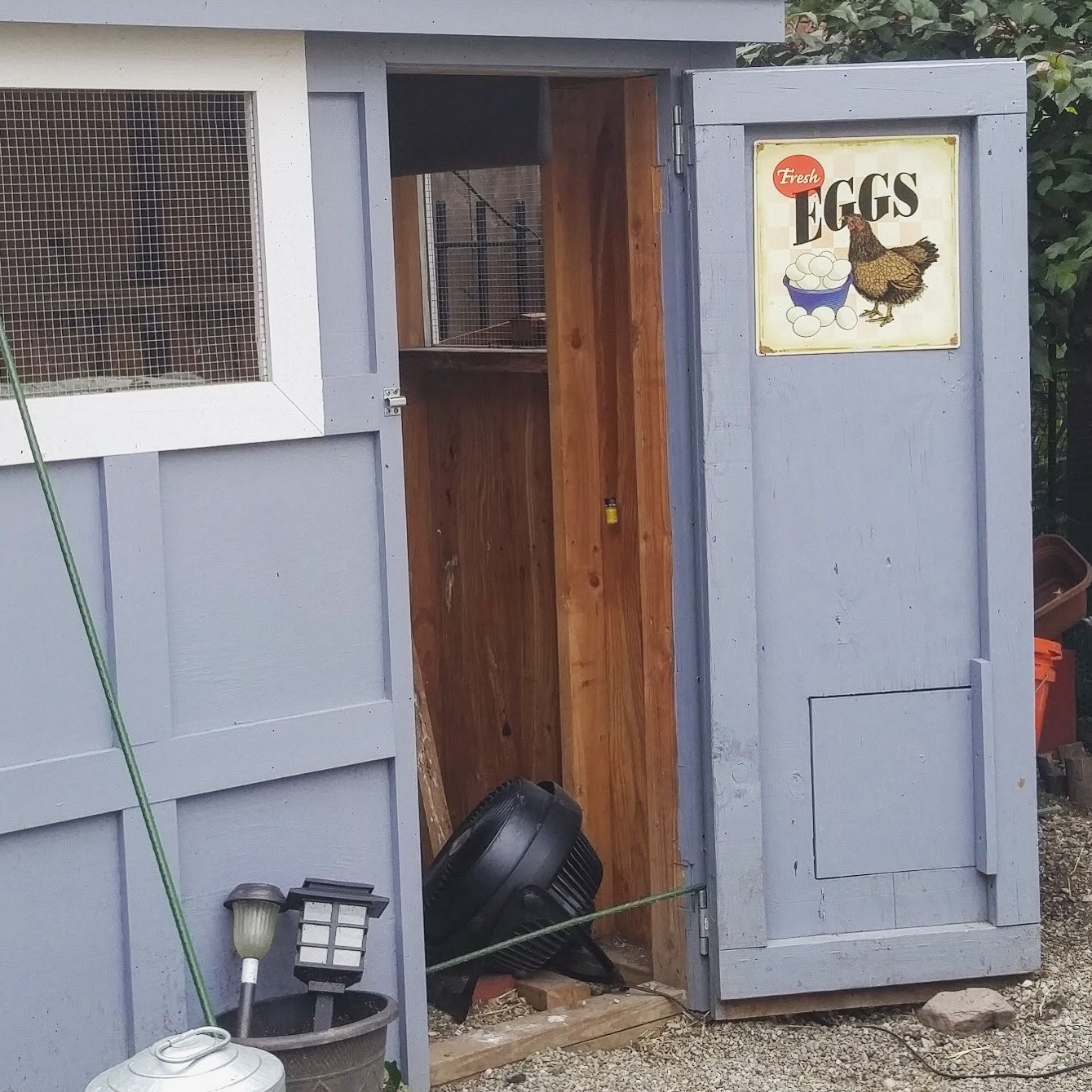 urban quack egg shed