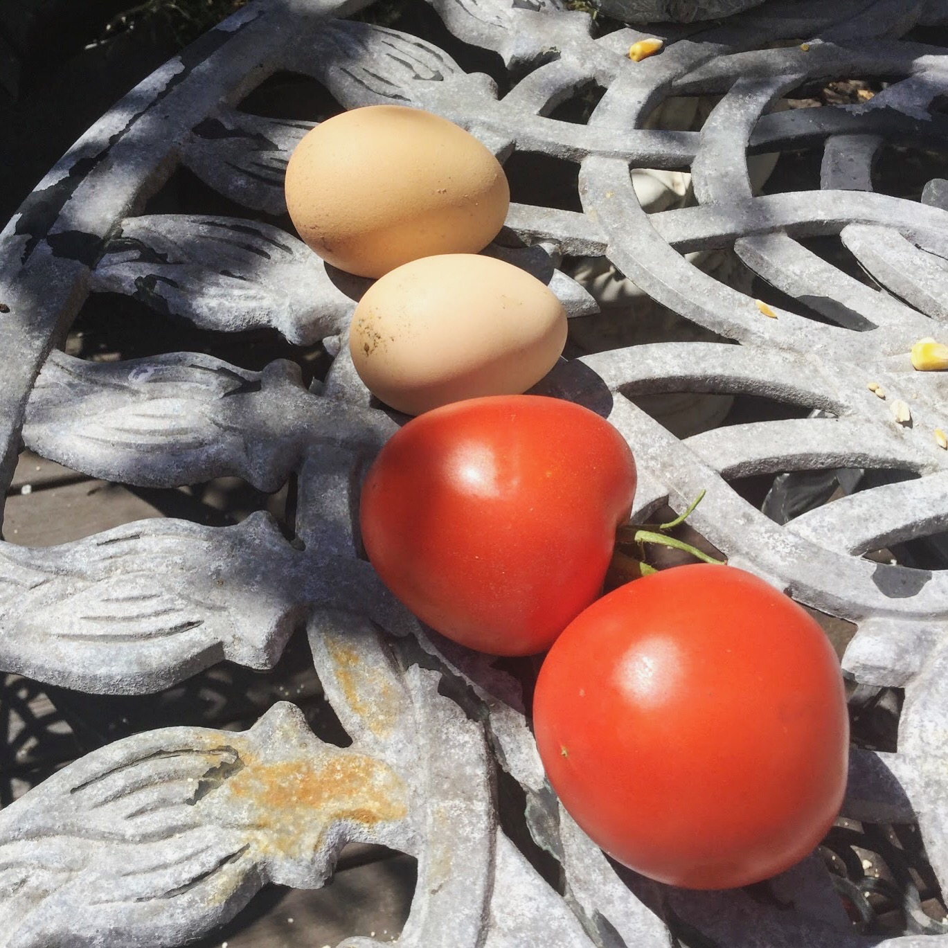 urban quack produce