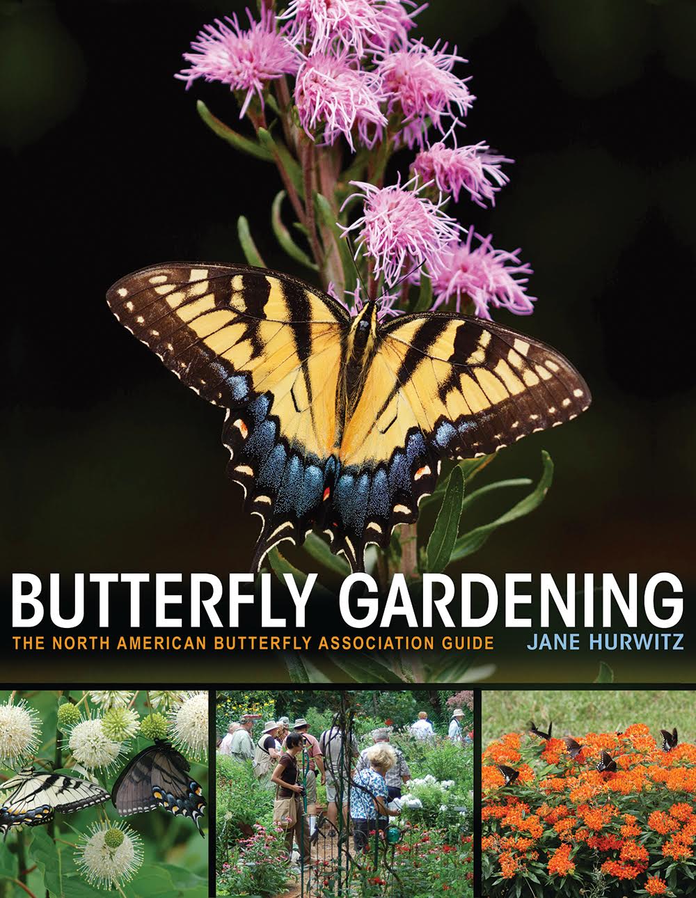 butterfly gardening 