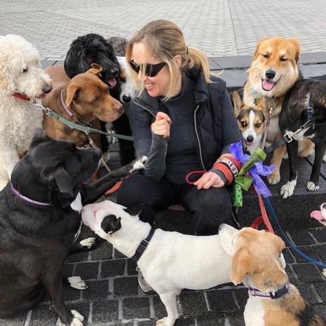 dog trainer hoboken jc 3