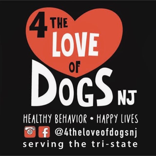 dog trainer hoboken jersey city 5