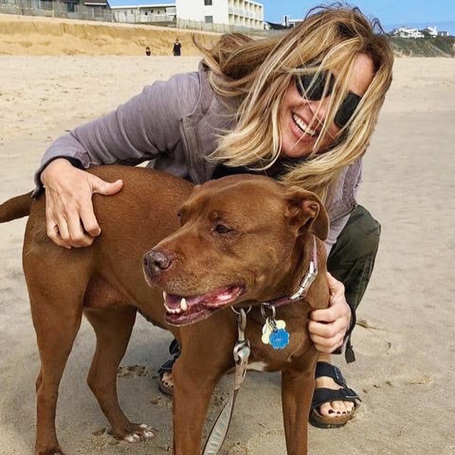dog trainer hoboken jersey city