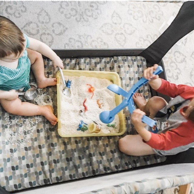 hugs and bugs pack play