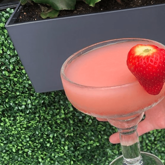oharas frose
