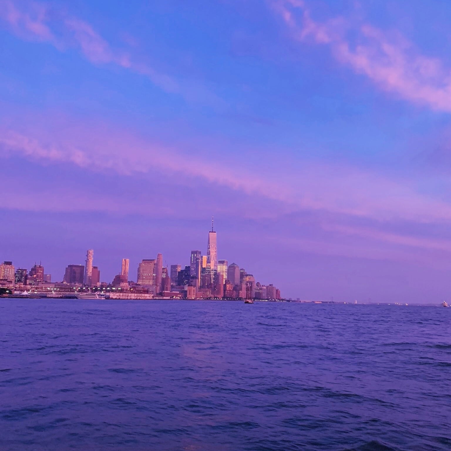 skyline 2 hudson cat