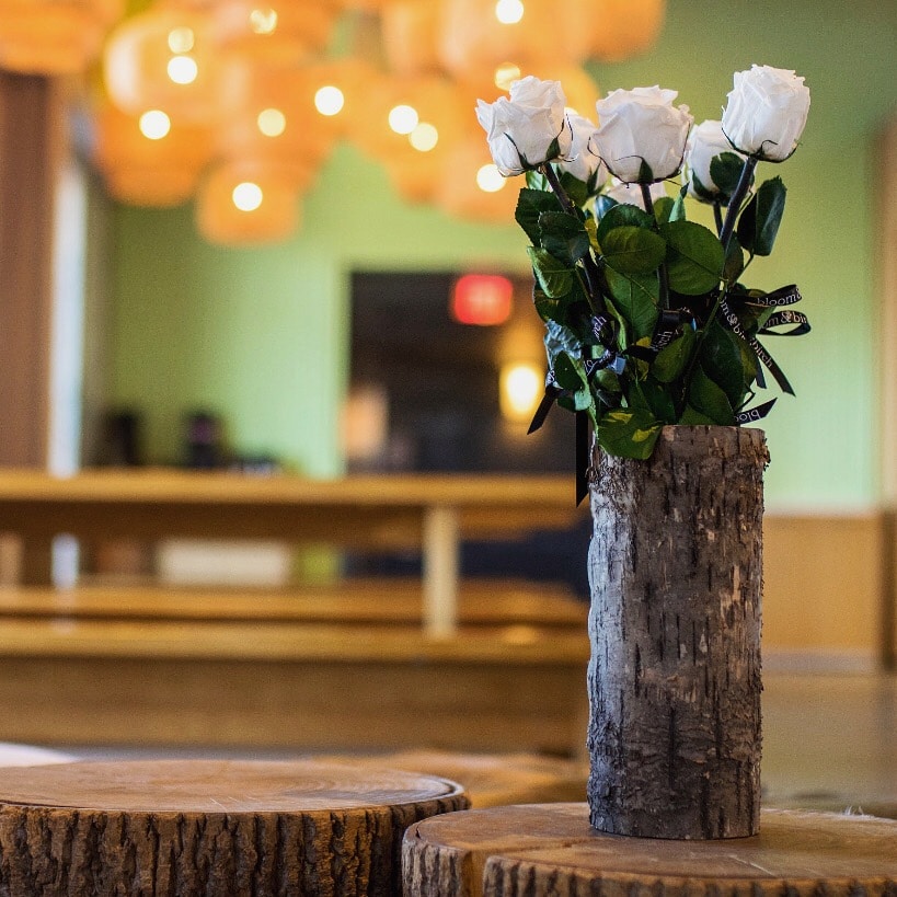 bloom birch 7