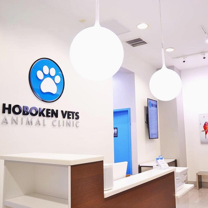 hoboken vets animal clinic
