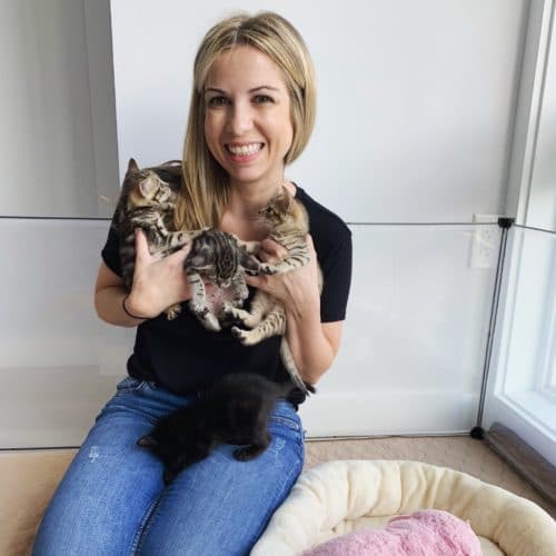 jess thoren kitten bnb