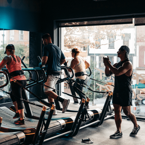 project sculpt workout