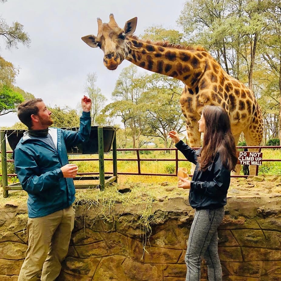 frawley safari