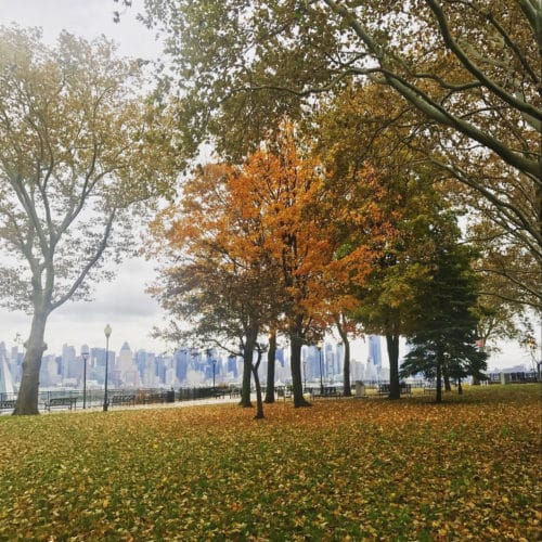 boulevard east