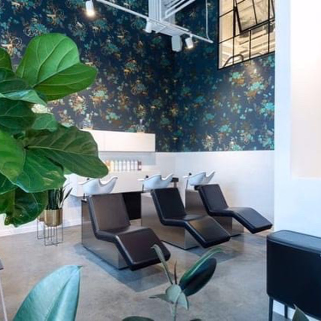 salon10n