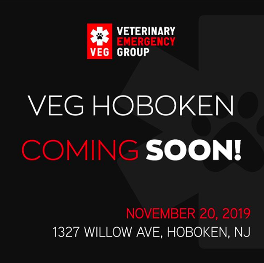 veterinary emergency group hoboken opening