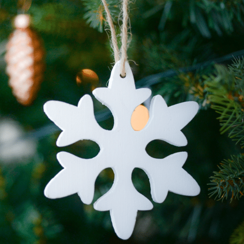 hoboken jersey city volunteer december 2019