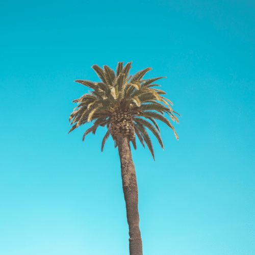 san diego california