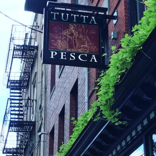 tutta pesca