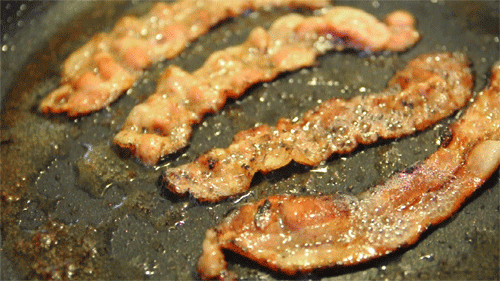 baconfest gif
