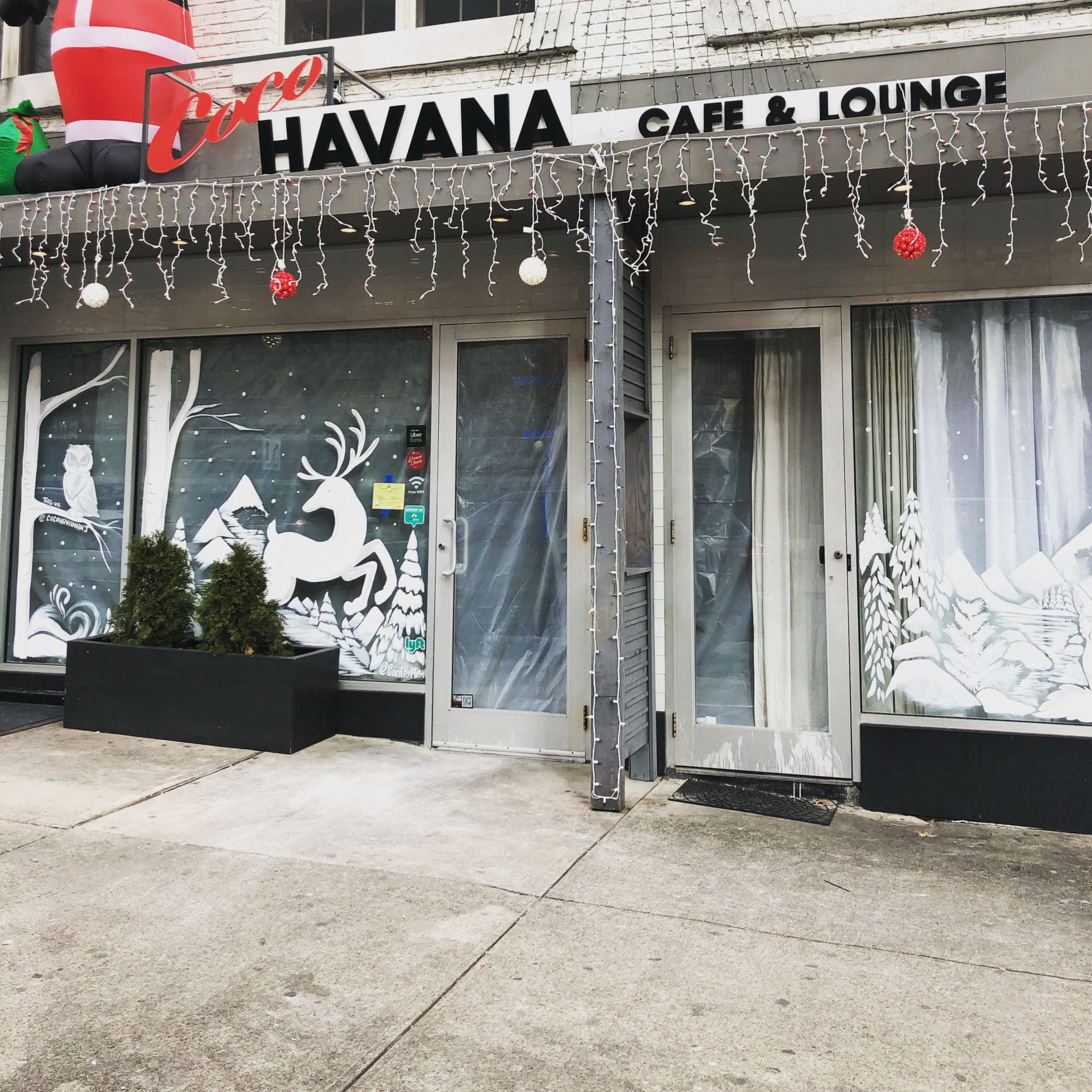 coco havana news