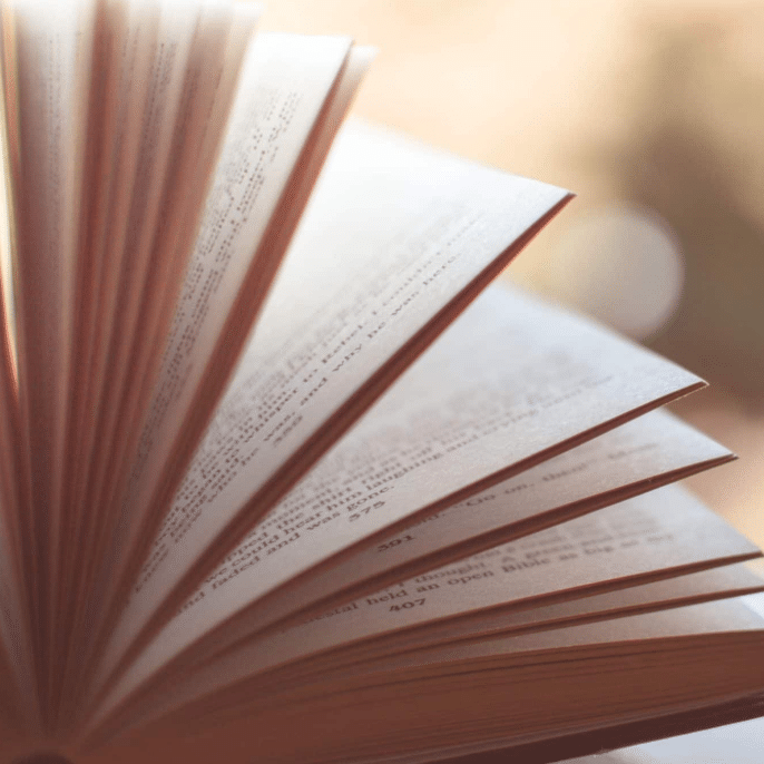 novel news
