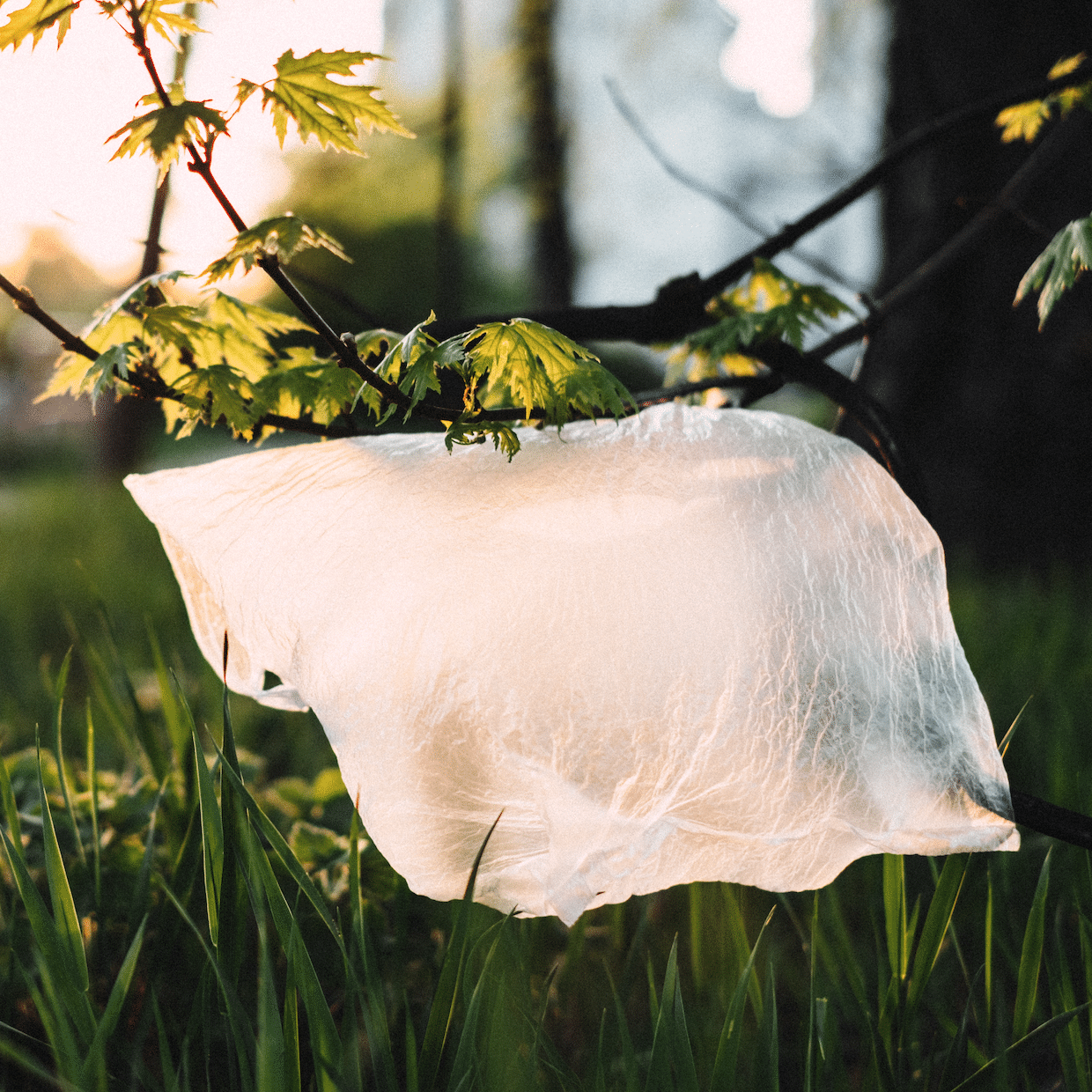 plastic bag ban news hoboken