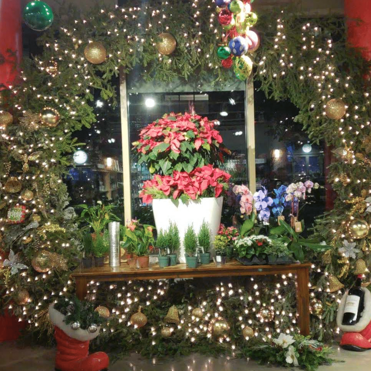 bobby flowers holiday display