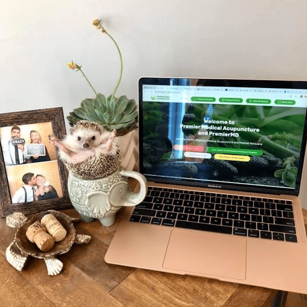 chika pets working from home