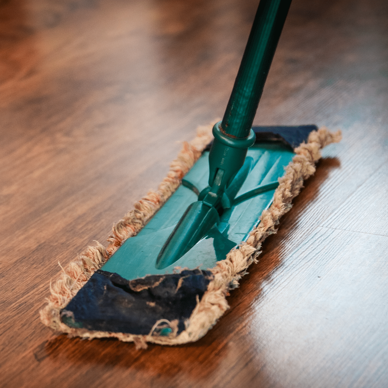 deep clean house staying home