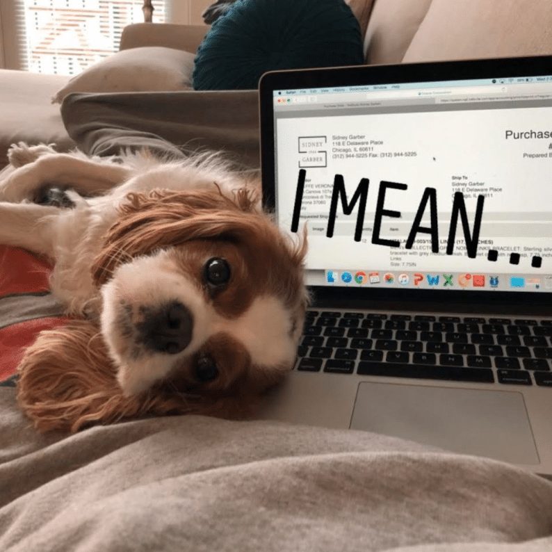 frankie pets working from home