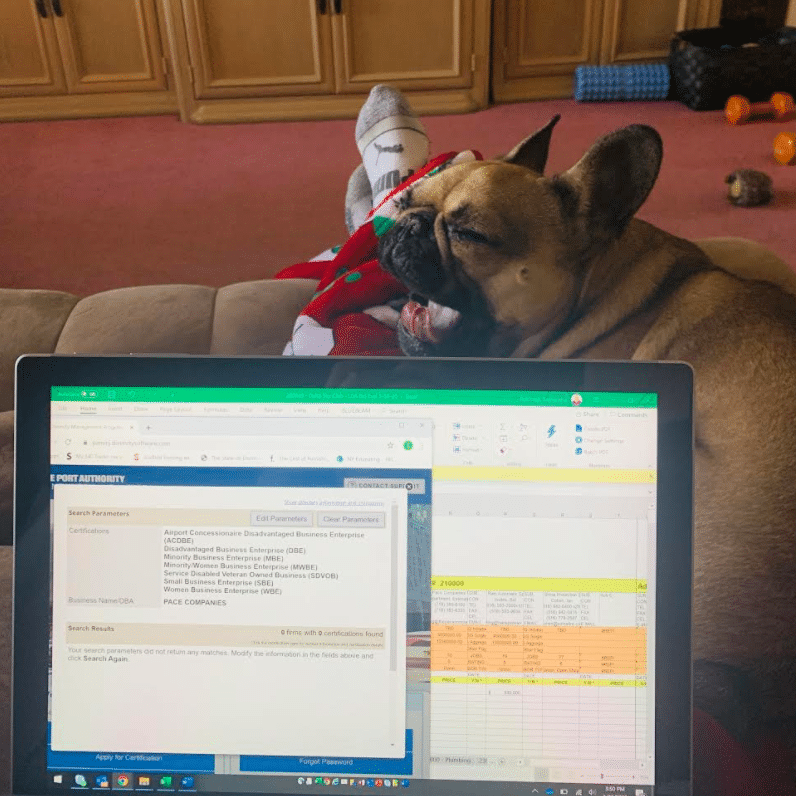 nugget pets working from home