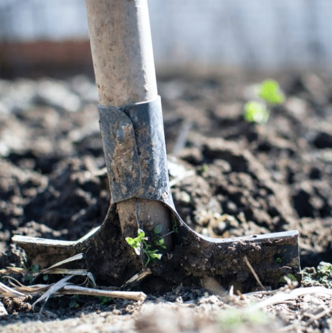 how to celebrate earth day at home 2