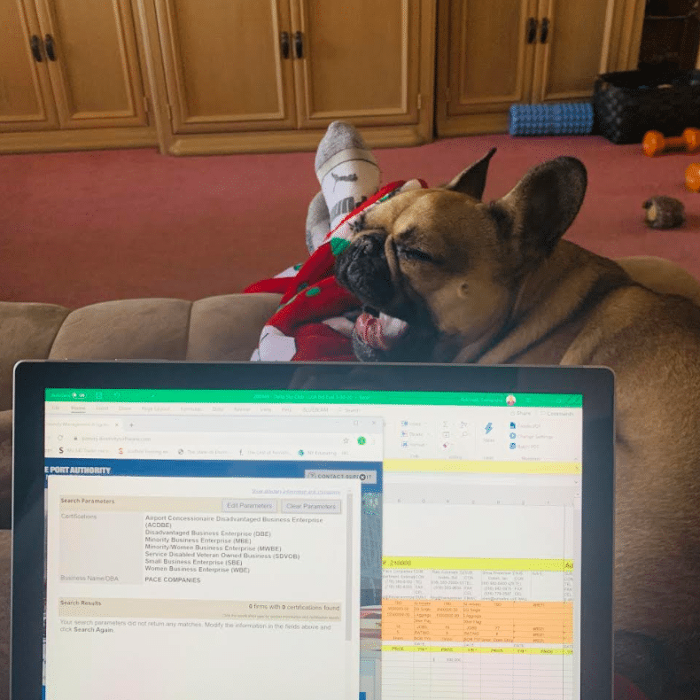 nugget pets working from home