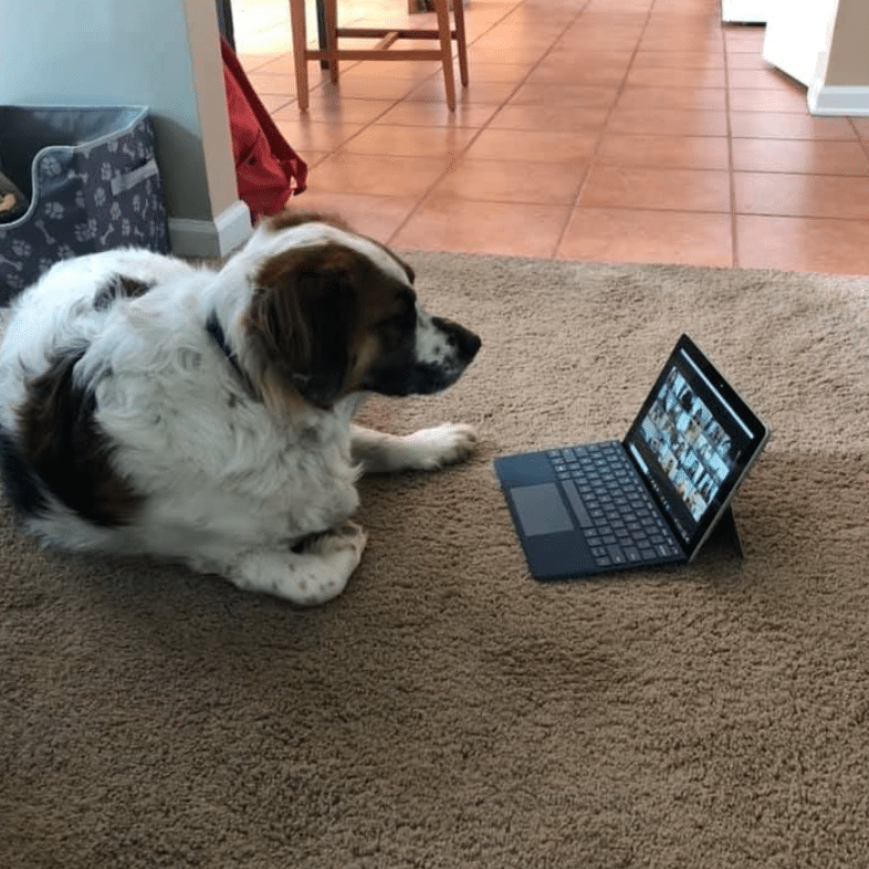 sam workingat home hoboken jersey city