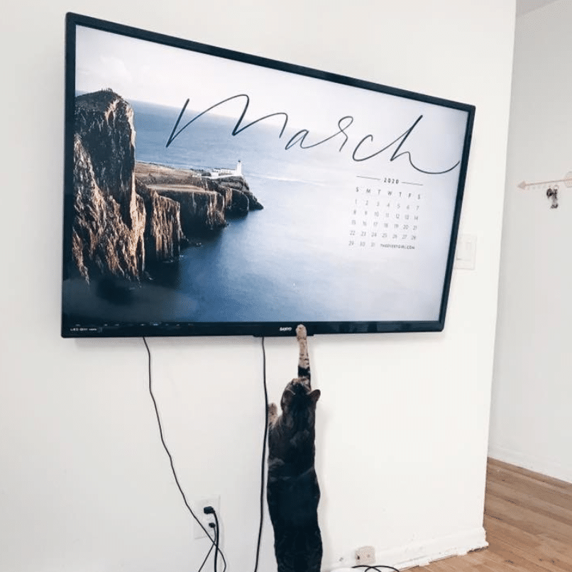 taylor working from home office set up hoboken jersey city
