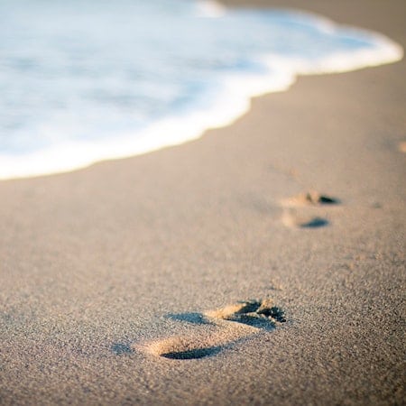 beaches 8