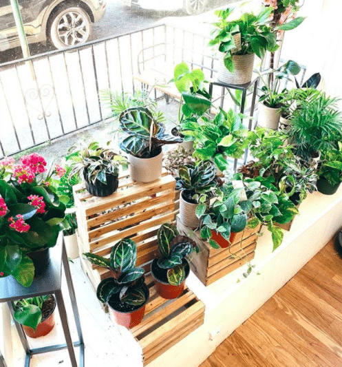 bloomies flower studio