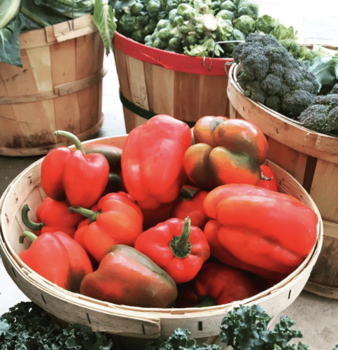 farmers market