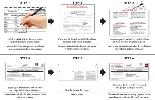 voter ballot instructions