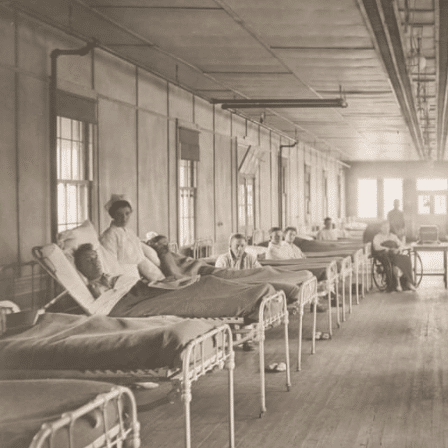 1918 flu pandemic history