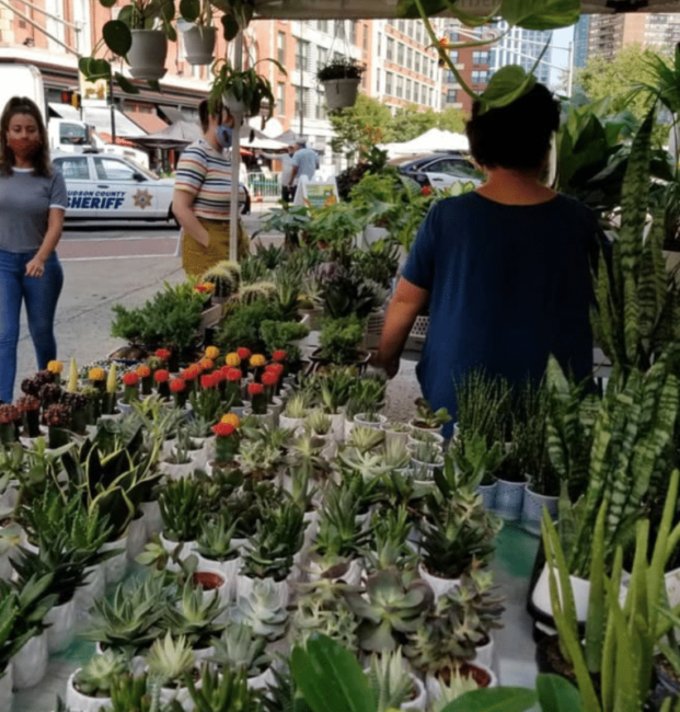 historic-downtown-jersey city farmers market