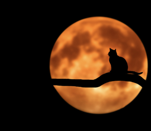 hoboken halloween parade canceled