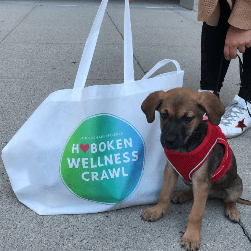 dog vip bag wellness crawl
