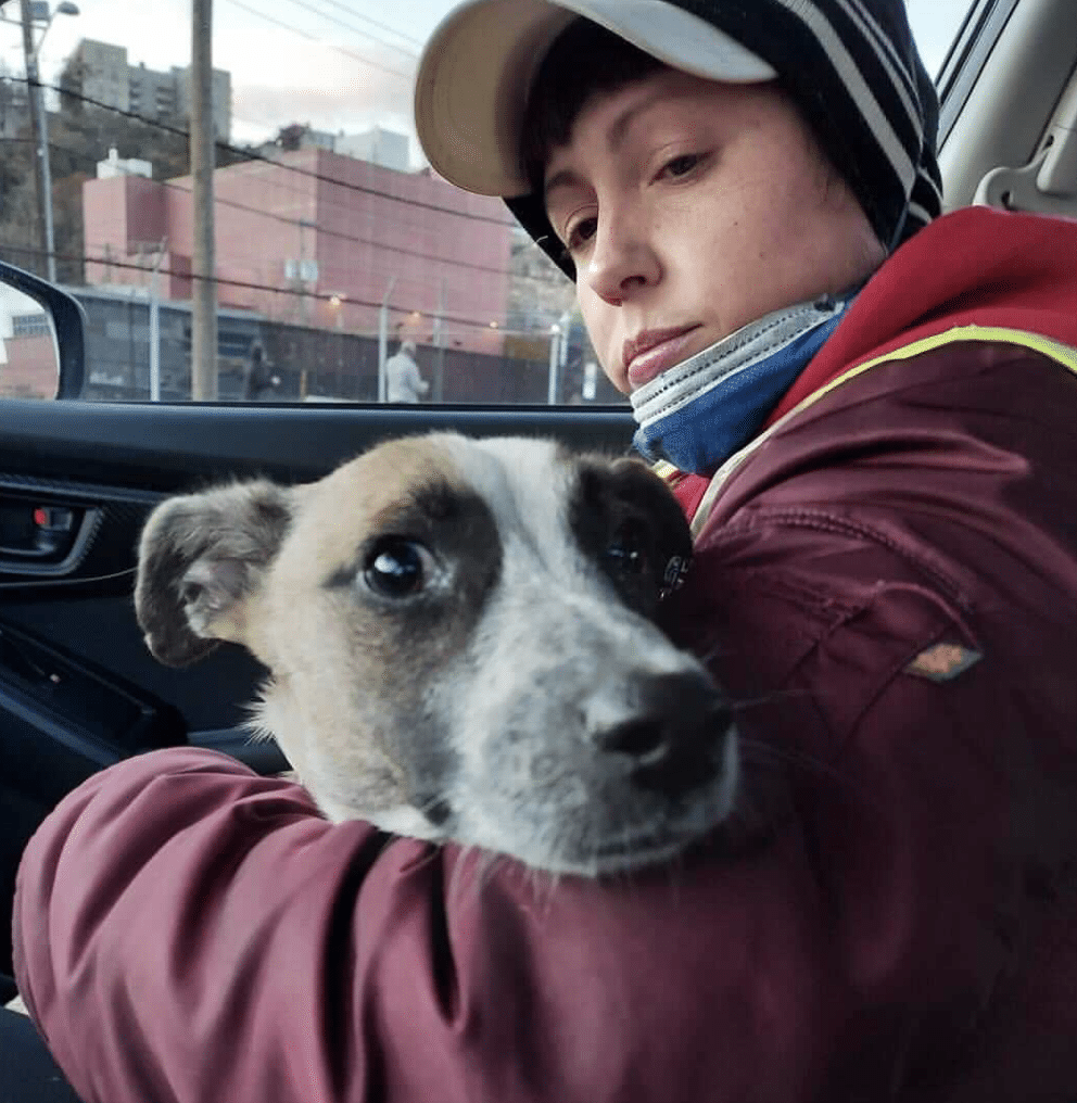 milo rescue dog hoboken