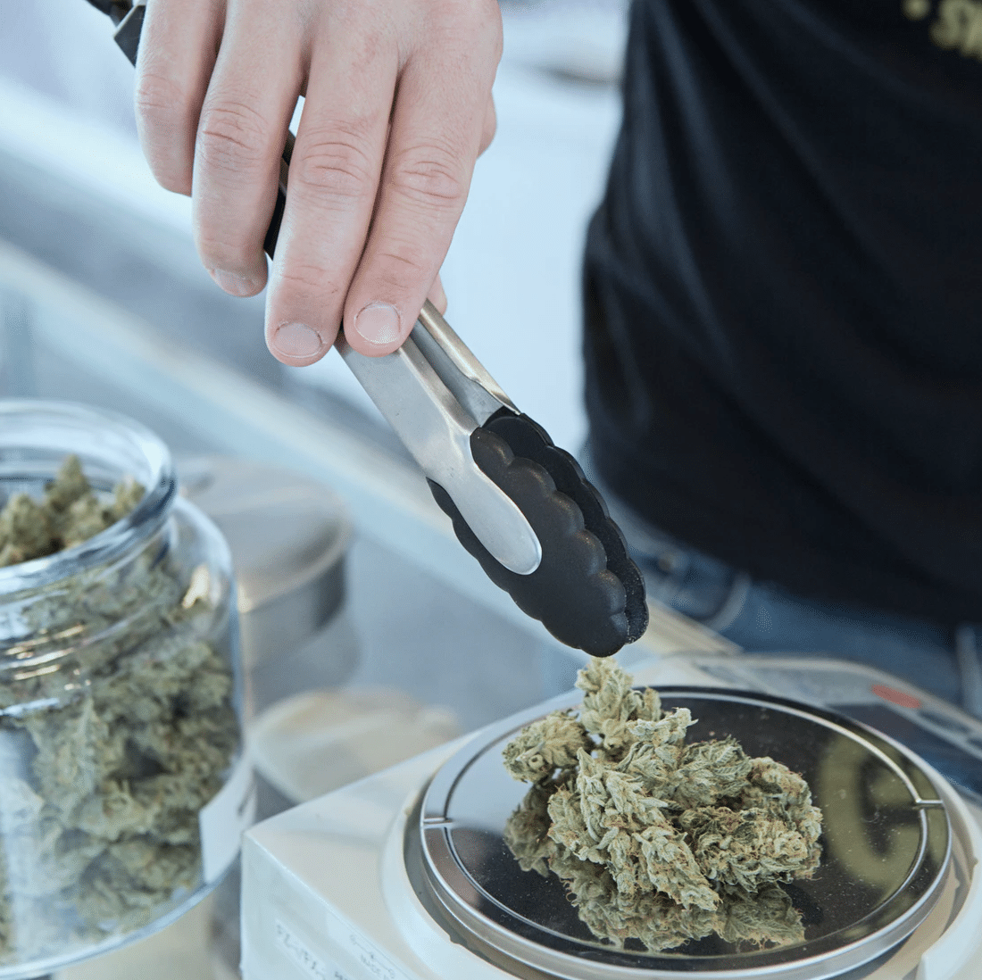 New Jersey Legalizes Marijuana