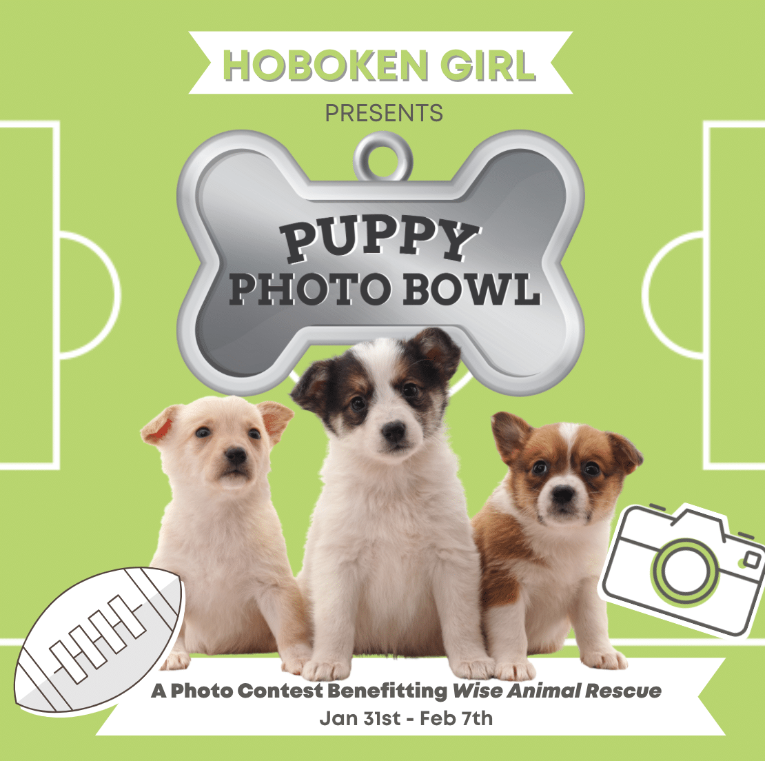hoboken girl puppy photo bowl 2021 contest
