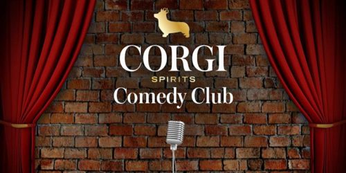corgi