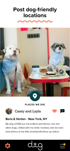 dig dog friendly dating app