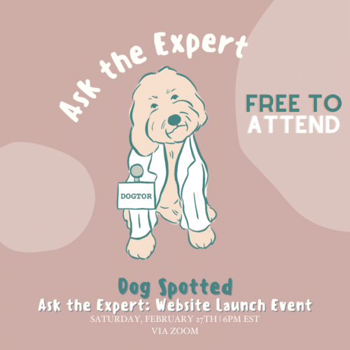 Dog Spotted