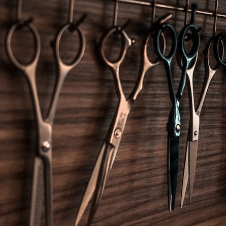 michelles salon hair scissors jc