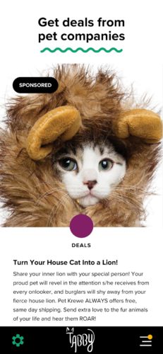 tabby dating app for cats