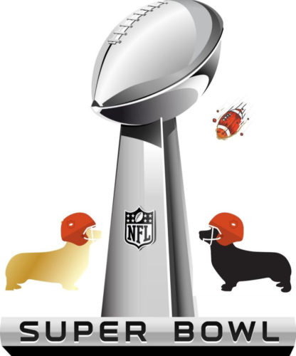corgi superbowl